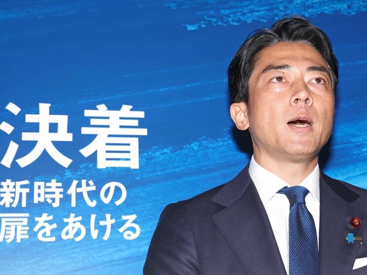 出馬宣言する小泉進次郎氏（写真／産経新聞社）