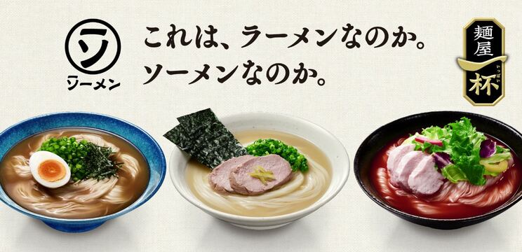 それぞれのつゆの調理例
