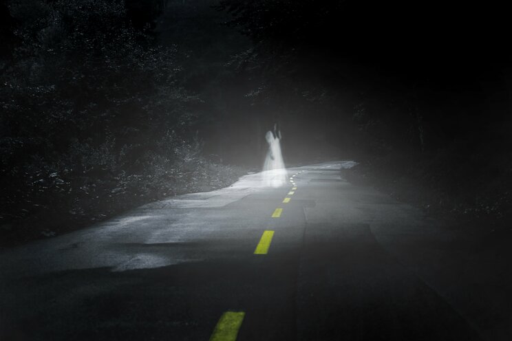 写真はイメージです(写真/Shutterstock)