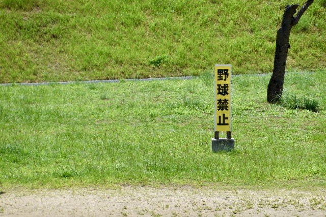 〈迷惑行為で出禁も〉シーズン到来もキャンパーたちは憂鬱？「ユーチューバーに勝手に荷物を動かされ…」「夜間に爆音で音楽を…」急増する迷惑キャンパー事件簿_4