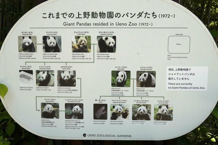 〈パンダ不在で入園者18.7％減〉「ゼロパンダ」から半年…上野動物園で起きた異変と“喪失感”の正体_12