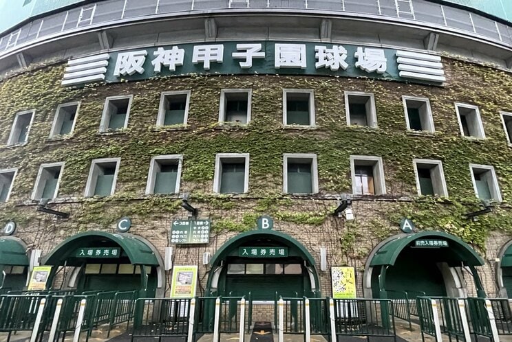 阪神甲子園球場（撮影／集英社オンライン）