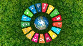 【SDGsにモヤッ?】SDGsという「正義」を振りかざす大人に疲れてしまう子供たち。あなたは「サステナブル」の強要をしてしまっていませんか?
