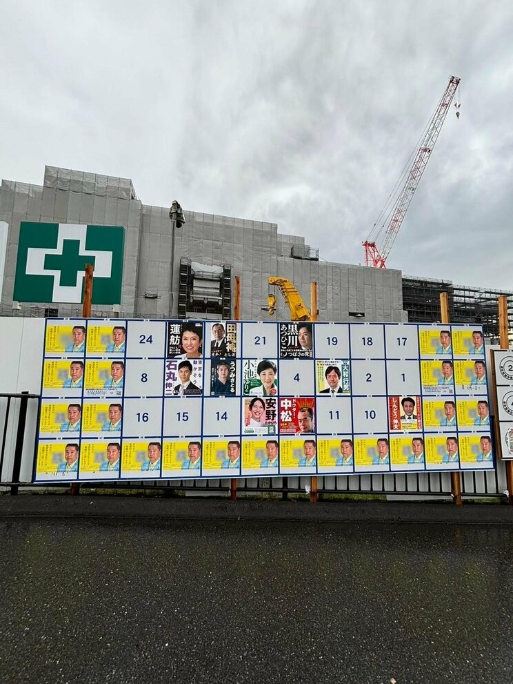 NHK党のポスターが目立つ選挙看板（撮影／集英社オンライン）