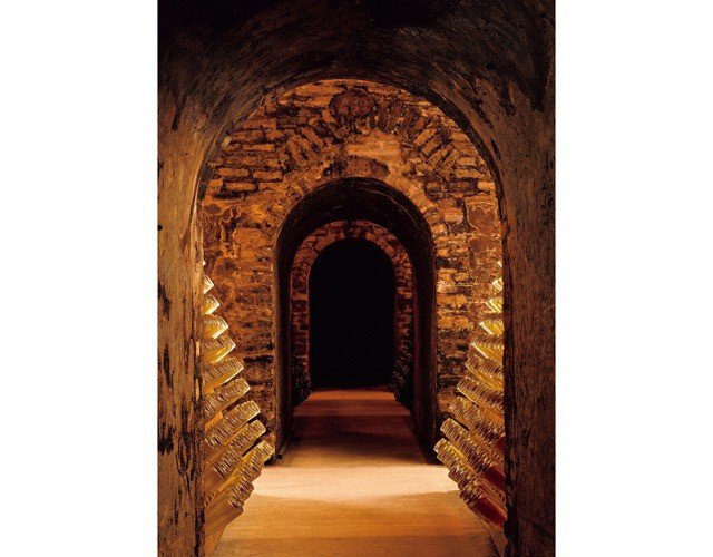 自然への愛を感じるシャンパーニュ。「ルイ・ロデレール」の新キュヴェ_6