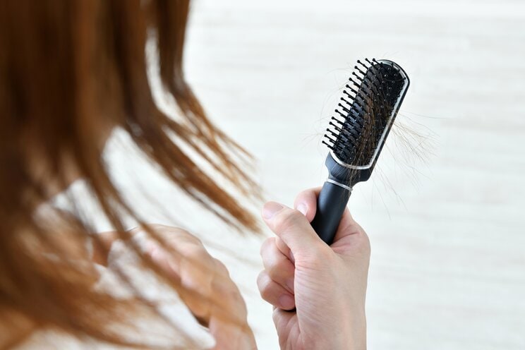 写真はイメージです　写真／Shutterstock