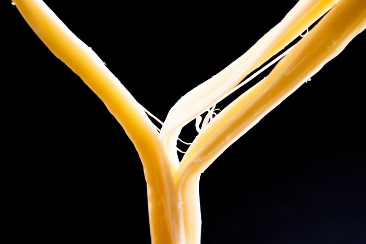 酒の肴にええ一品、その4「さけるチーズ」（写真／PhotoAC）