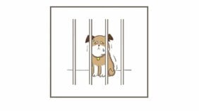 【漫画あり】保護犬たちとの悲喜こもごも。SNSで話題の「たまさんちのホゴ犬」ストーリー