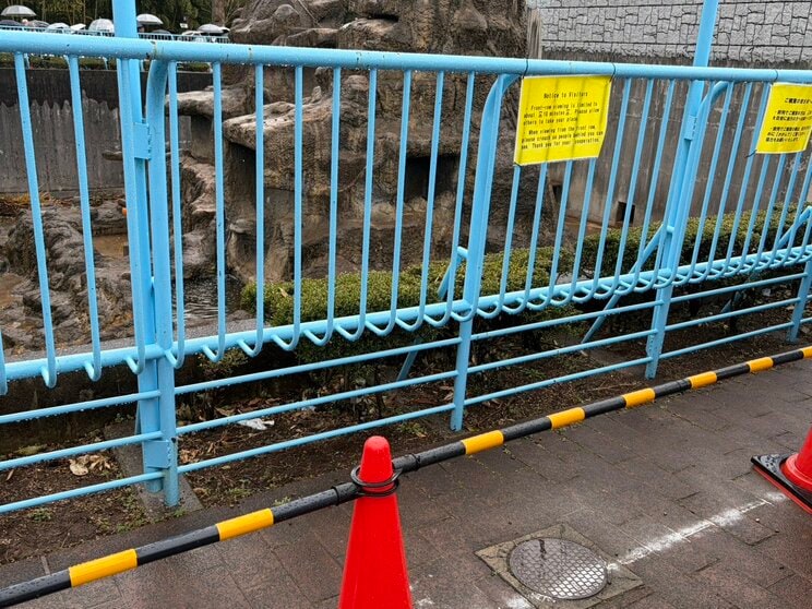 猿山のサルたちになるべく圧迫感やストレスを与えないように柵から少し距離をとっているエリアもある（撮影／集英社オンライン）