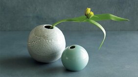 色味を抑えて上品にまとめる！「黄色い花」が映える花器4選