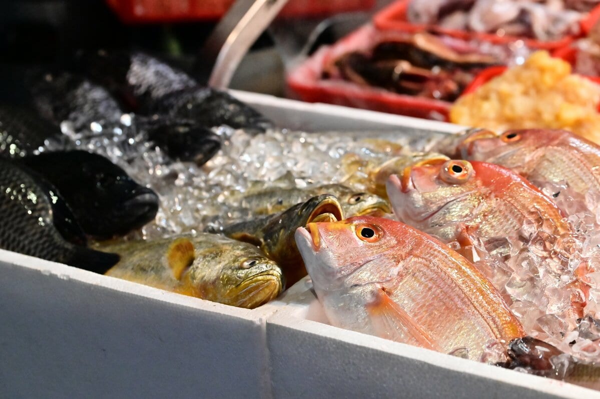 あのウコン飲料に鮮魚販売、学習塾も…知られざる旧統一教会系企業のビジネス展開「日本は教団が世界で保有する富の最大の資金源」との声も | 集英社オンライン | ニュースを本気で噛み砕け