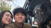 〈ブタを飼う夫婦〉「僕たちの第一子は“ぶひまる”」第一子誕生予定で注目される“家族のカタチ”と“豚会”の意外な実態