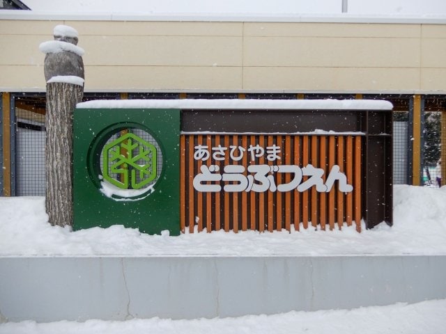 旭山動物園（写真／PhotoAC）