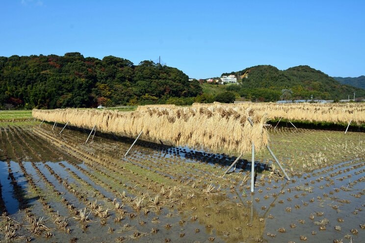 博多から車で30分　のどかな景色が広がる福岡県の久山町