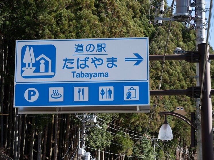近年では道の駅の商店などがライフラインになる地域も増加している