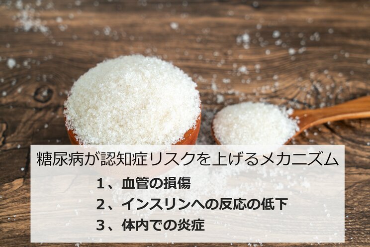 糖尿病が認知症の要因となる３つの理由…血管の損傷と体内の炎症のほか、アルツハイマー病の発症メカニズムとも関連する、ある重要な“反応の低下”とは_5
