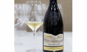 ワインの葡萄、フランスでは300種に対しイタリアは1800種以上。60名超の生産者取材が明らかにしたイタリアワインの本質とは？「グラスの中に風景がある」