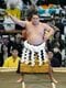 5勝4敗で休場が決まった新横綱・豊昇龍　写真／共同通信社