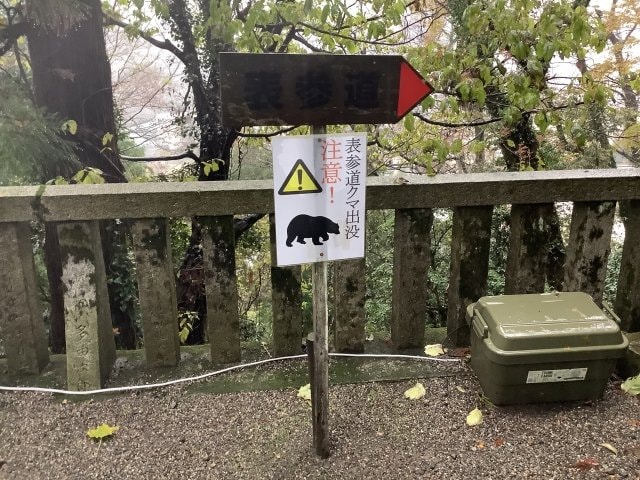 全国各地でクマの目撃情報が相次いでいる
