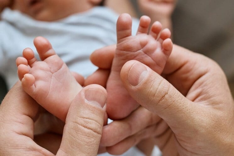 思わず触りたくなってしまう？（画像／Shutterstock）