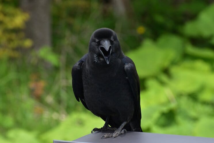 写真はイメージです（写真／PhotoAC）