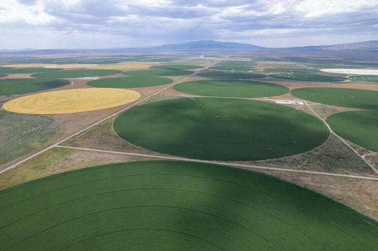 日本の農家の手取りは実質175万円「儲け過ぎ」批判のあるアメリカ、手厚い補助金のある西欧と比べて極端に厳しい実情_4