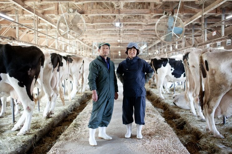 〈写真で振り返る東日本大震災〉「牛、殺してから行くっぺ」原発事故により乳牛を置いていかざるを得なかった福島県浪江町の酪農家夫婦の決断。それでも牛を忘れられず…_1