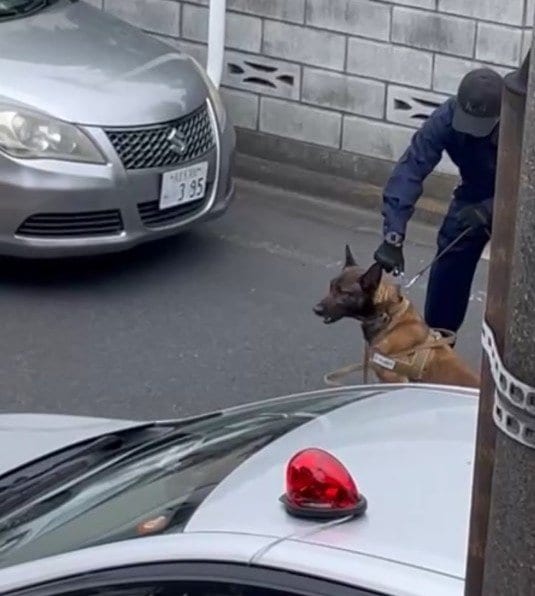 ≪福生・ハンマー男≫「2年半前にはオノで男子高生を追いかけて…」逃走中の指名手配男は過去にも事件を…「最近はおとなしかった」バイク少年グループとのトラブルが発端か_12