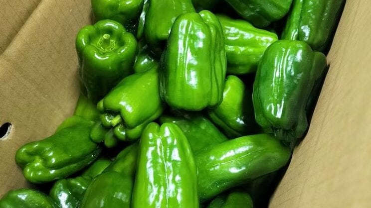 Aが出荷したピーマン（画像／会社HPより）