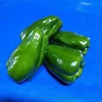 （画像／会社HPより）