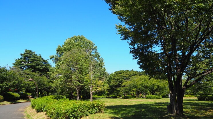 猿江恩賜公園（PhotoAC）