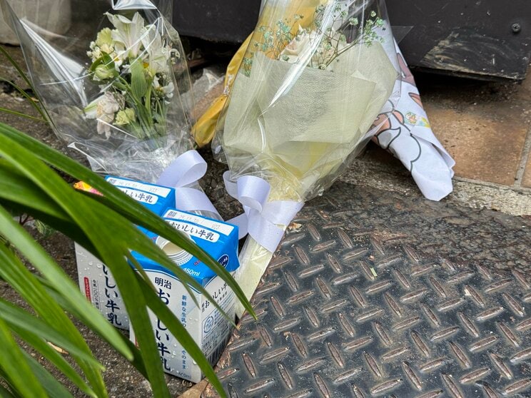 現場に供えられた花や菓子、牛乳（撮影／集英社オンライン）