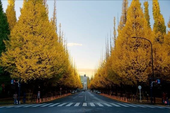 ＜斎藤幸平＞あまりに乱暴な神宮外苑再開発の実態と、市民一人ひとりの「再開発反対運動」_2