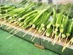 〈冷やしキュウリで510人食中毒も…〉花火大会の「豚の丸焼き」、キッチンカーの「ケバブ」も…酷暑の夏祭りで注意したい食べ物