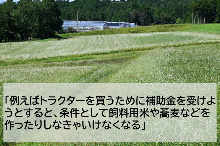 「コメは生産者だけが儲からない」「俺の代で終わり」…会社員としての給料を赤字に補填していた兼業コメ農家の嘆き「近い将来、国産米は金持ちしか食べられなくなる」 _7