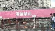 〈桜を遮る横断幕〉「注意の声がうるさい」「嫌な世の中になってしまった」中目黒で花見客が困惑　区に聞いた規制強化の理由