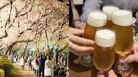 〈会社の花見宴会やりたいですか？〉「結局若手が疲れる」「コンプラ重視で気を遣うのはむしろ年長者」渋谷・新橋100人に聞いた衝撃の結果