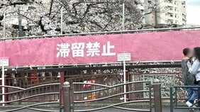 〈桜を遮る横断幕〉「注意の声がうるさい」「嫌な世の中になってしまった」中目黒で花見客が困惑 区に聞いた規制強化の理由