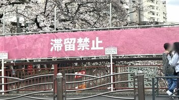 〈桜を遮る横断幕〉「注意の声がうるさい」「嫌な世の中になってしまった」中目黒で花見客が困惑　区に聞いた規制強化の理由