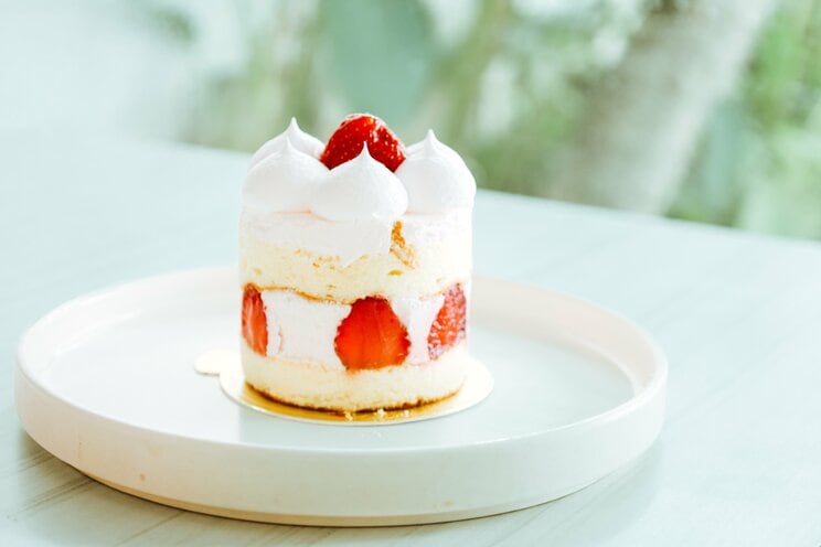 写真はイメージです　写真／Shutterstock