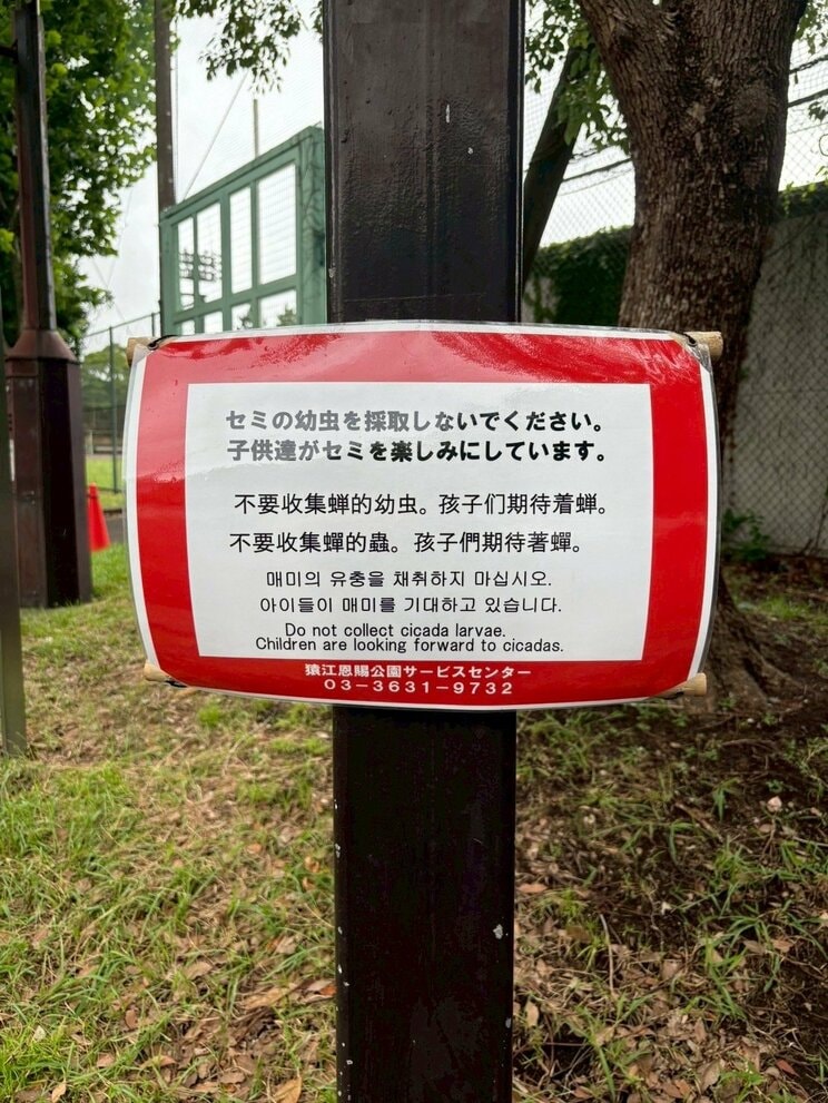 猿江恩賜公園に掲示されている張り紙（撮影／集英社オンライン）