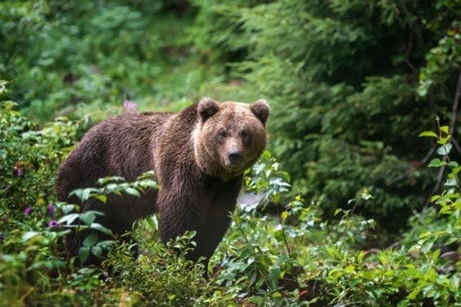 写真はイメージです（Shutterstock）