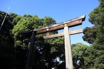 都心部でカラスのねぐらの一つとされる明治神宮（PhotoAC）