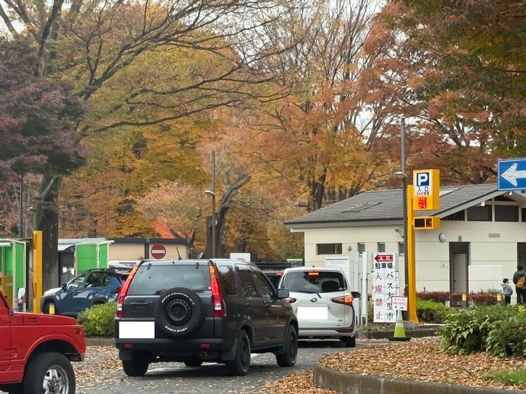 小金井公園の満車の駐車場（写真／集英社オンライン）