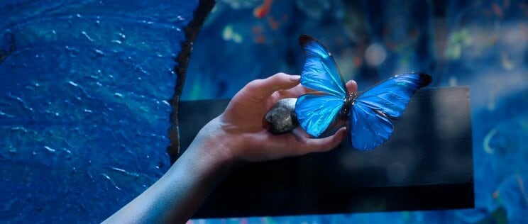  ©2025 Amazon Content Services LLC or its Affiliates.