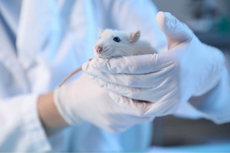 写真はイメージです　写真／Shutterstock