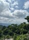 〈山の日〉東京なのに「北海道より涼しい」？ 真夏に高尾山へ行ってみたら…標高599mの避暑地の“実力”_30