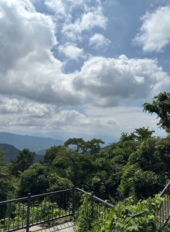 〈山の日〉東京なのに「北海道より涼しい」？ 真夏に高尾山へ行ってみたら…標高599mの避暑地の“実力”_30