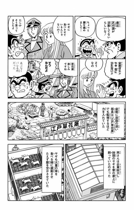【こち亀】ブラック労働を強いられたヤギたちが反旗を翻したまさかの作戦 「その草を食べるな! 観賞用だから!」_10