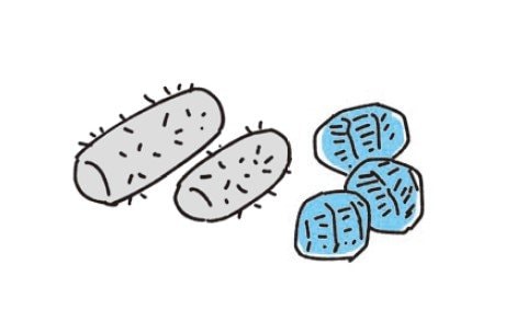 自然薯と里芋（イラスト／書籍『休養ベスト100』より）